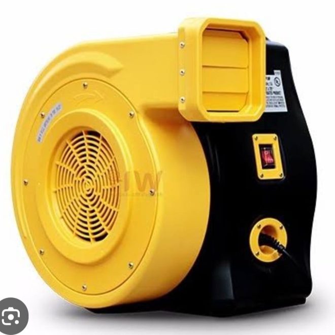 WhatsApp Image 2025-01-19 at 12.07.50 PM