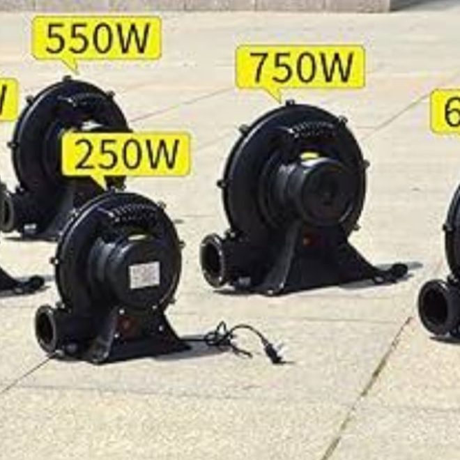 WhatsApp Image 2025-01-19 at 6.58.38 PM